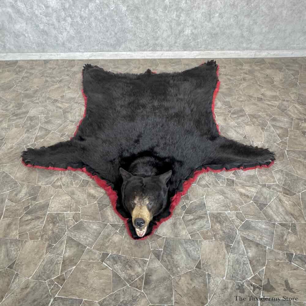 Black Bear Full-Size Rug For Sale #31029 @ The Taxidermy Store