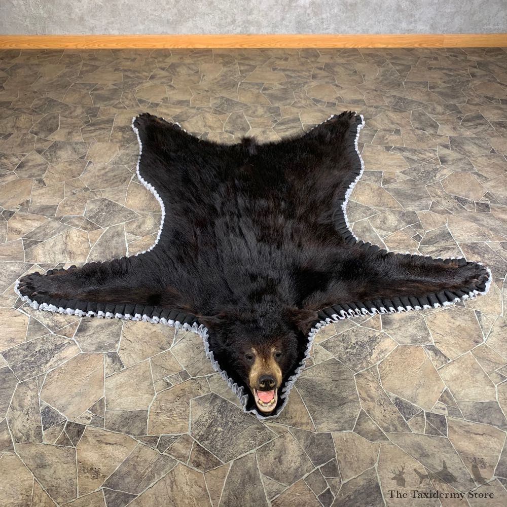Black Bear Full-Size Rug For Sale #24006 @ The Taxidermy Store