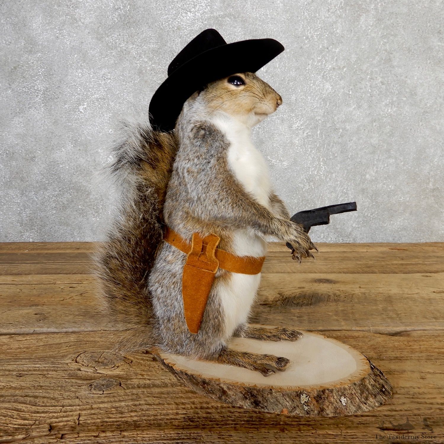 Cowboy Squirrel Novelty Mount For Sale #19057 @ The Taxidermy Store
