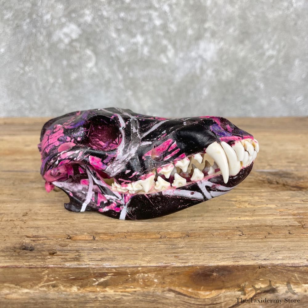 Pink Galaxy Dipped Coyote Skull #26400 For Sale @ The Taxidermy Store