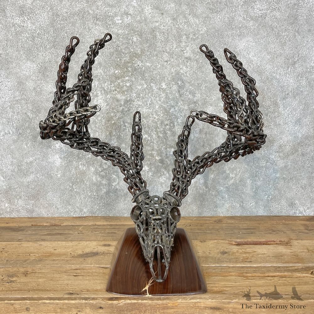 Whitetail Deer European Style Metal Skull For Sale #27748 @ The Taxidermy Store