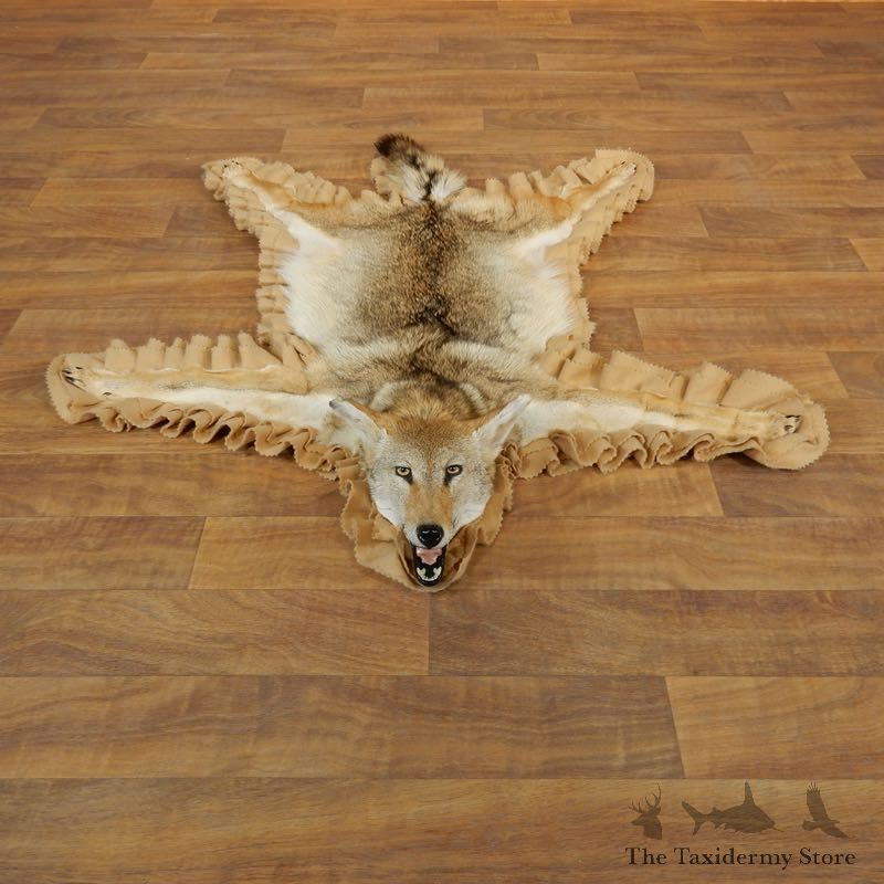 Coyote Rug Taxidermy Mount For Sale #17881 @ The Taxidermy Store