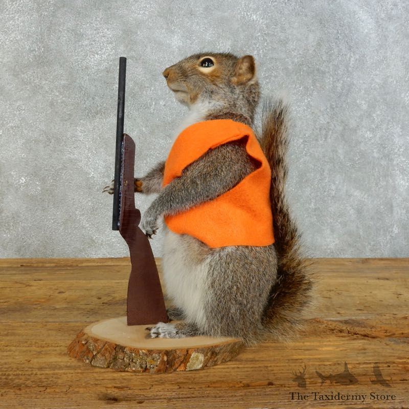 Hunting Squirrel Novelty Mount For Sale #18478 @ The Taxidermy Store