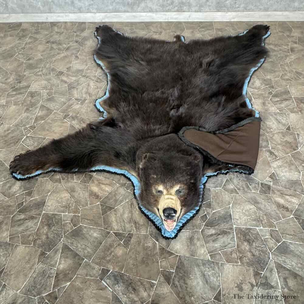 Black Bear Full-Size Rug For Sale #31034 @ The Taxidermy Store