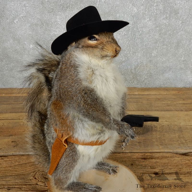 Cowboy Squirrel Novelty Mount For Sale #18193 @ The Taxidermy Store