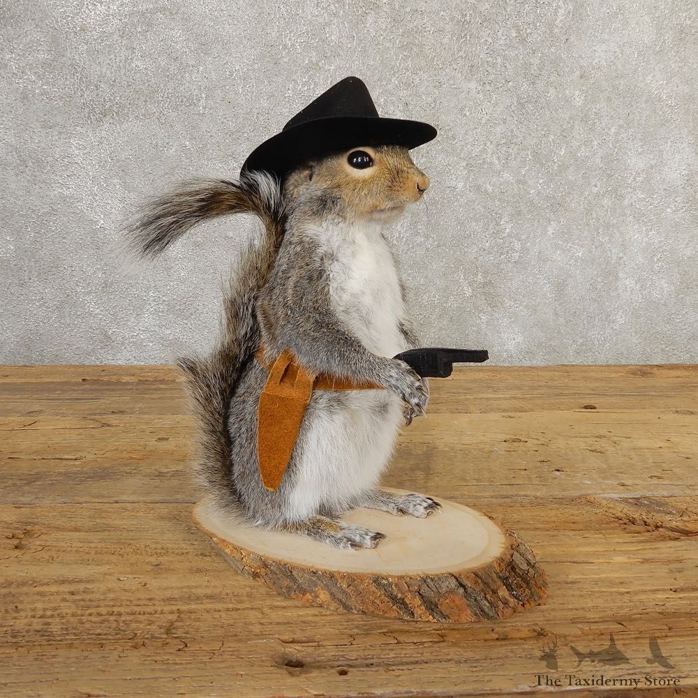 Cowboy Squirrel Novelty Mount For Sale #20728 @ The Taxidermy Store