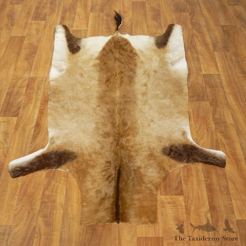 Cape Hartebeest Tanned Skin Taxidermy Rug For Sale #17462 @ The Taxidermy Store