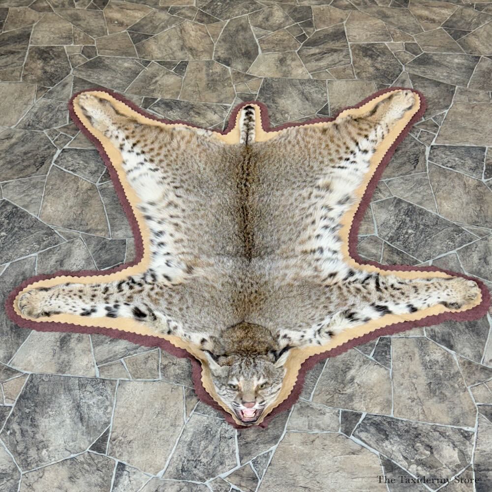 Bobcat Rug Mount For Sale #28840 @ The Taxidermy Store