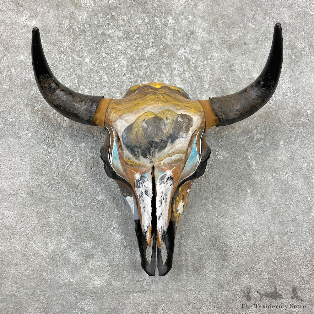 Buffalo Bison Skull Mount For Sale #26251 @ The Taxidermy Store