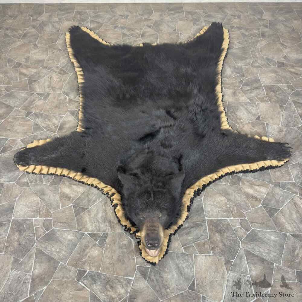 Black Bear Full Size Rug For Sale #31883 @ The Taxidermy Store