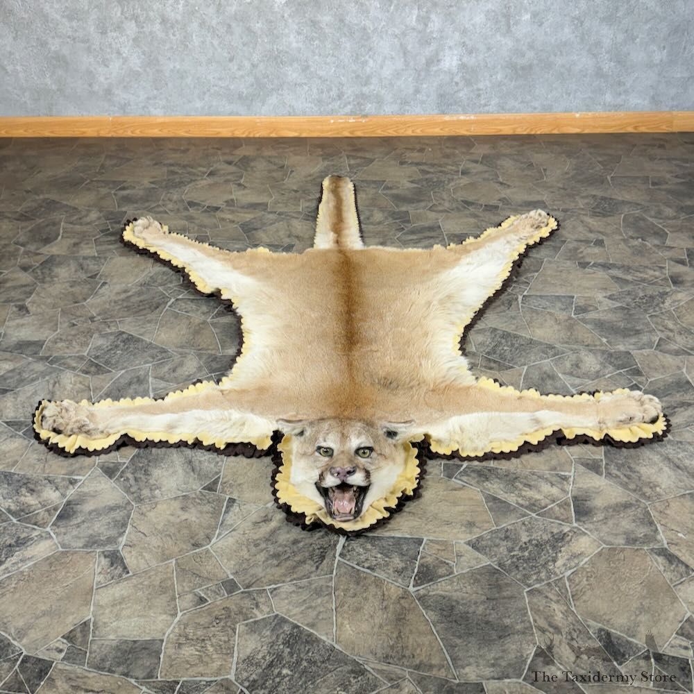 Mountain Lion Full-Size Rug For Sale #28858 @ The Taxidermy Store
