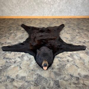 Black Bear Full-Size Rug For Sale #21961 - The Taxidermy Store