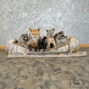 Canoeing Pals Novelty Mount For Sale #25300 @ The Taxidermy Store
