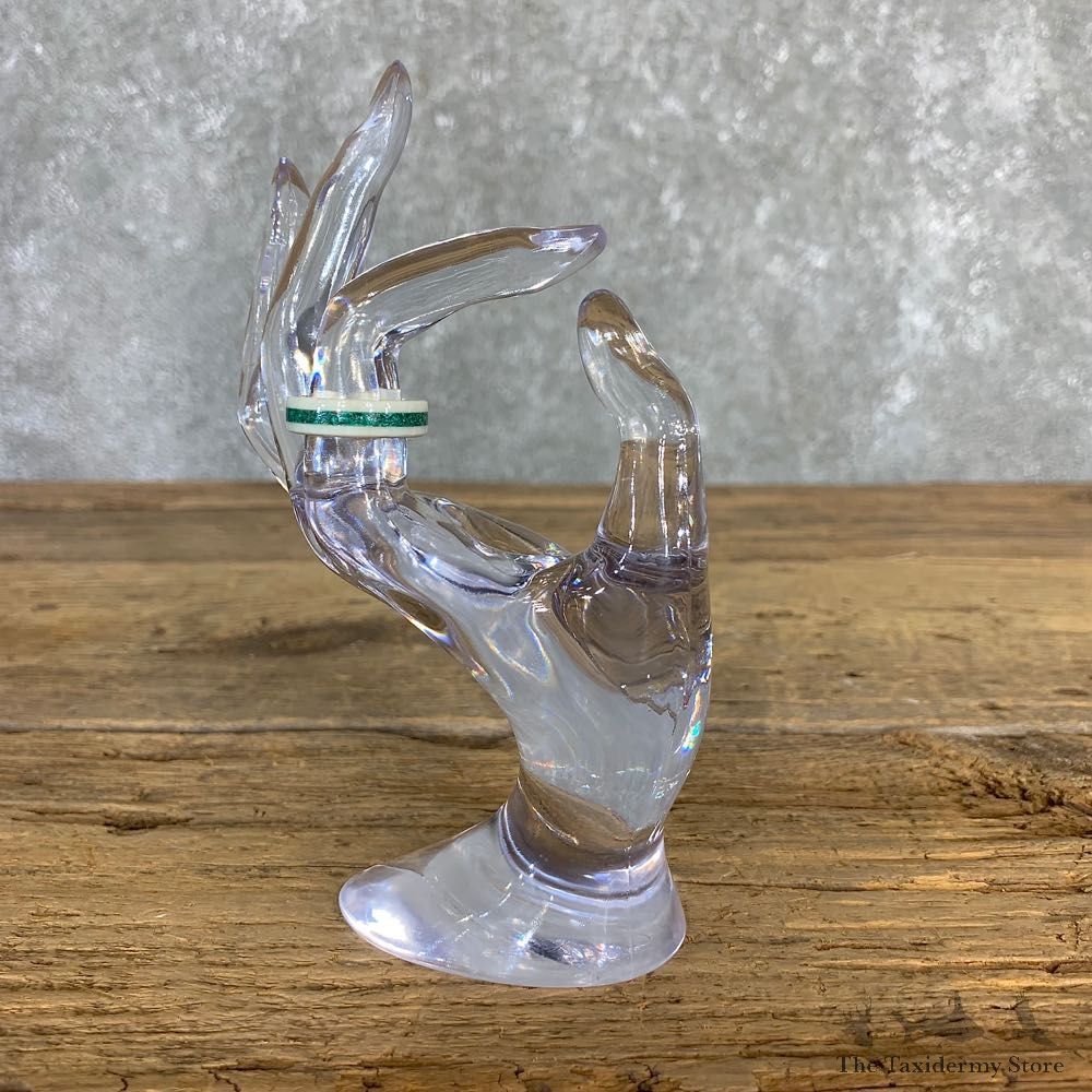 Whitetail Deer Antler Ring with Malachite Inlay For Sale #21198 @ The Taxidermy Store