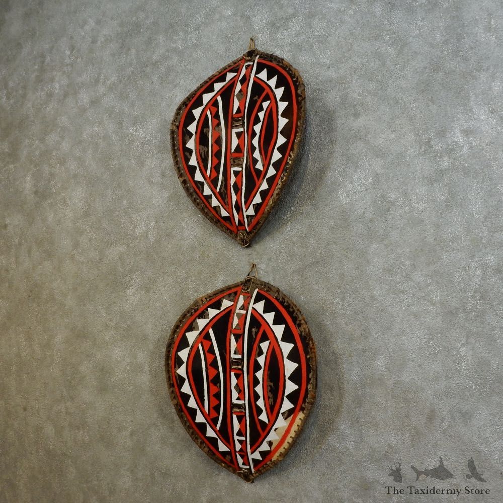 African Massai Warrior Shield Pair For Sale #16533 @ The Taxidermy Store