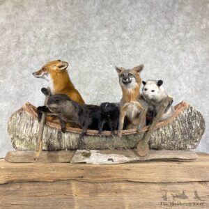 Canoeing Pals Novelty Mount For Sale #26209 @ The Taxidermy Store