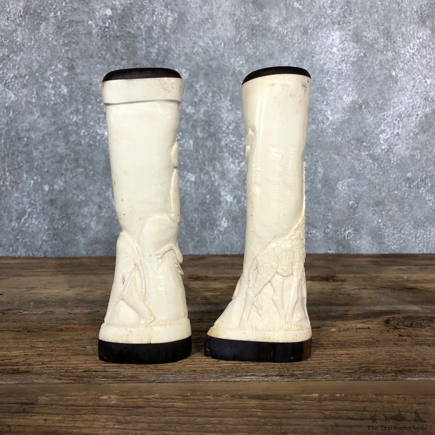 African Giraffe Bone Salt Shakers For Sale #19581 @ The Taxidermy Store
