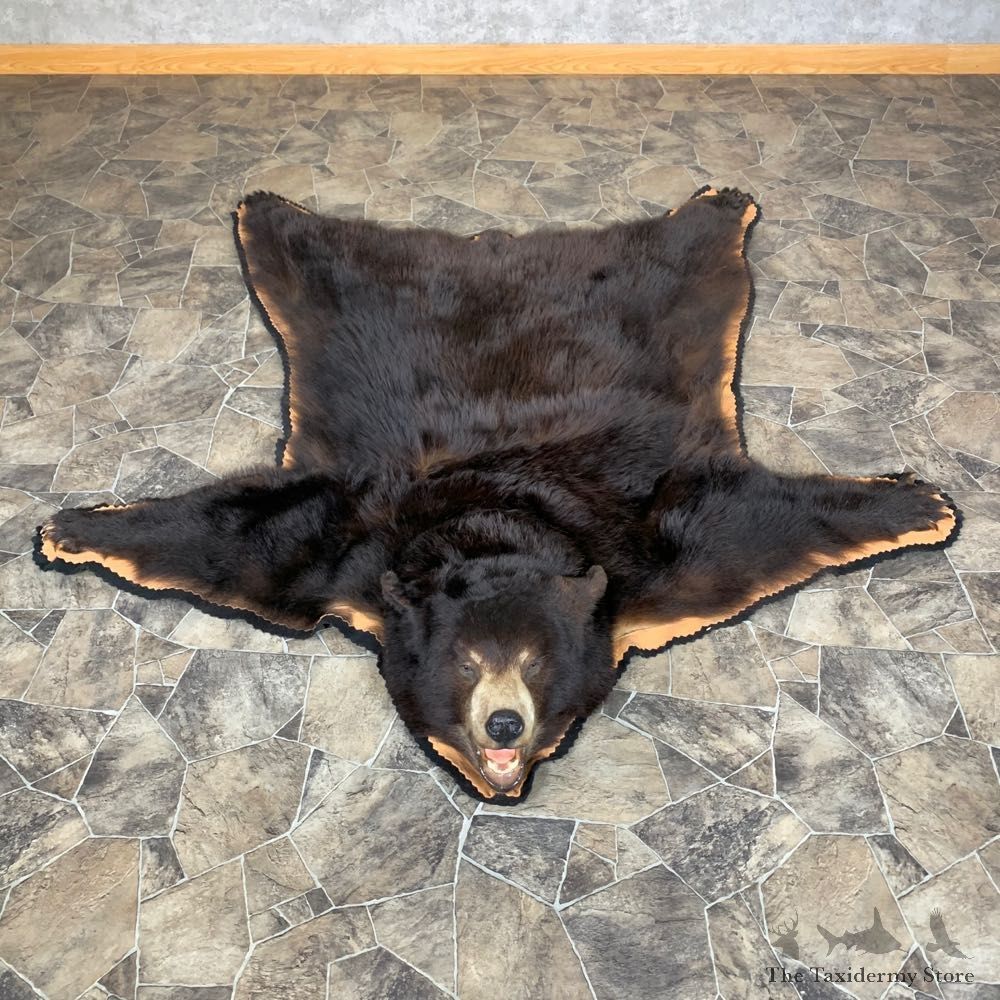 Black Bear Full-Size Rug For Sale #23324 @ The Taxidermy Store