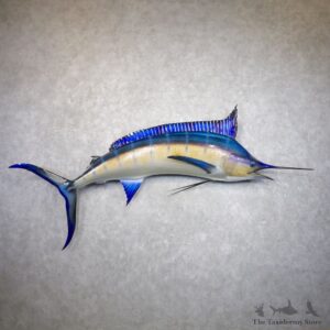 Blue Marlin Fish Mount For Sale #22153 @ The Taxidermy Store