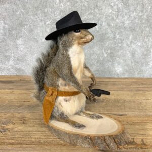 Cowboy Squirrel Novelty Mount For Sale #22434 @ The Taxidermy Store
