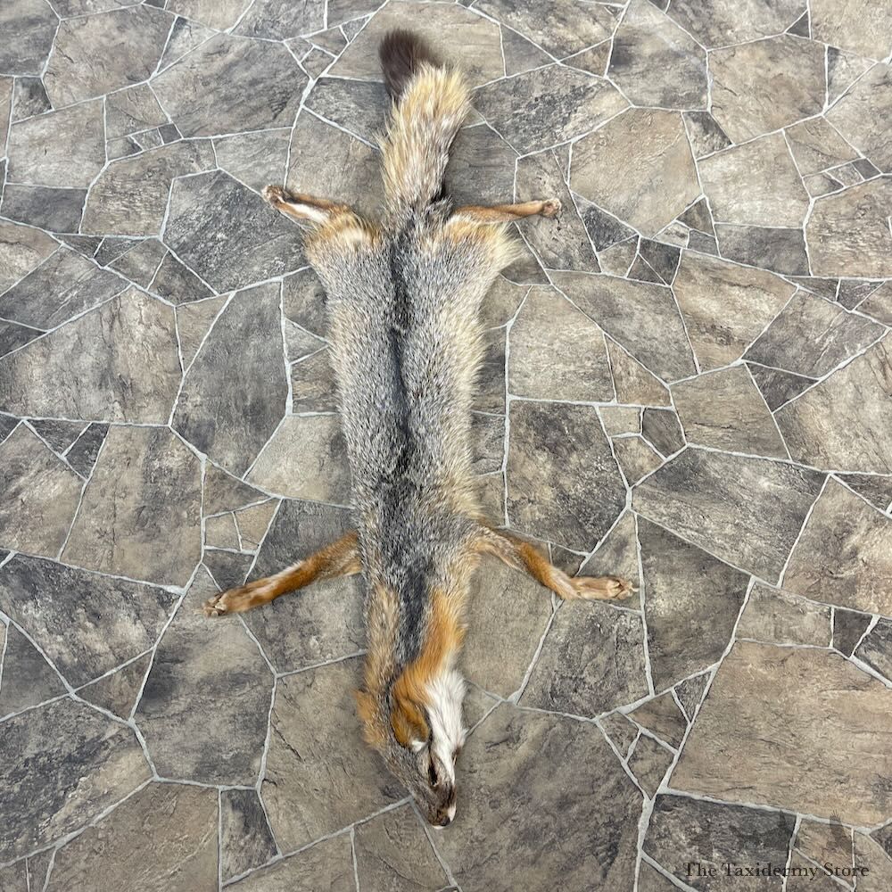 Grey Fox Tanned Hide For Sale #27891 @ The Taxidermy Store