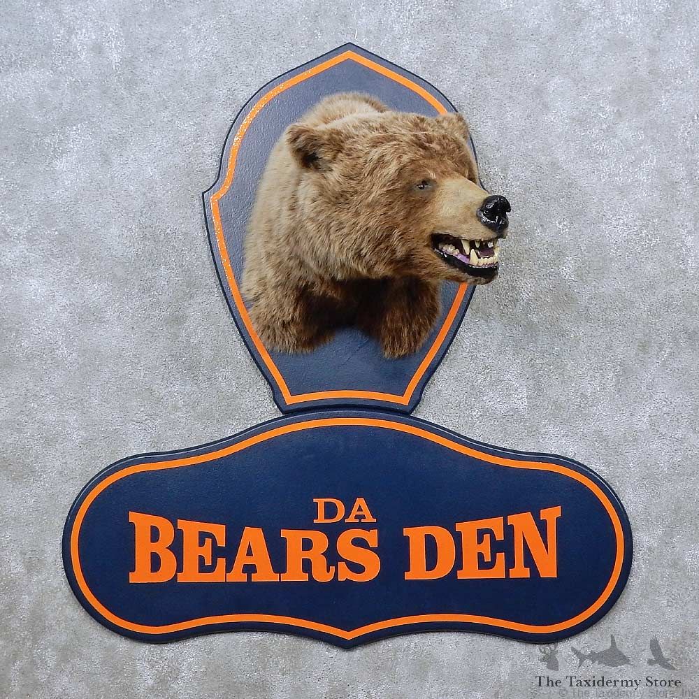 Da Bears Den Shoulder Mount For Sale #15612 @ The Taxidermy Store