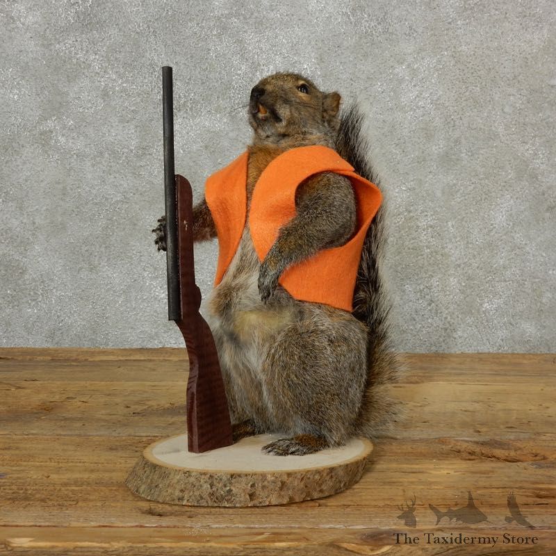 Hunting Squirrel Novelty Mount For Sale #17096 @ The Taxidermy Store