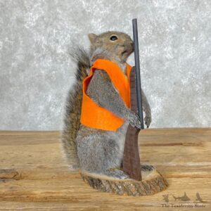Hunting Squirrel Novelty Mount For Sale #25023 @ The Taxidermy Store