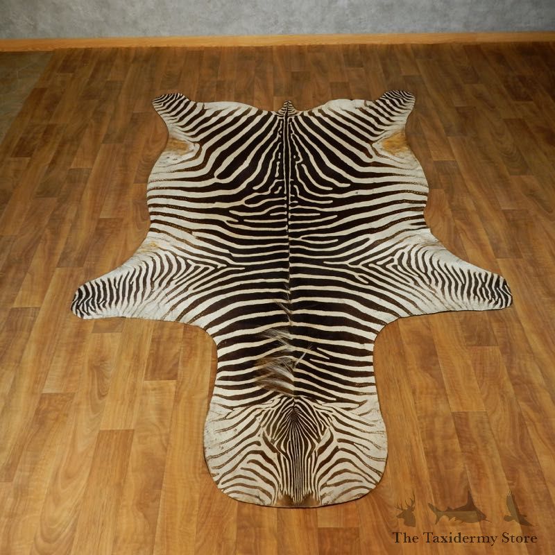 African Zebra Rug Taxidermy Mount For Sale #17425 @ The Taxidermy Store