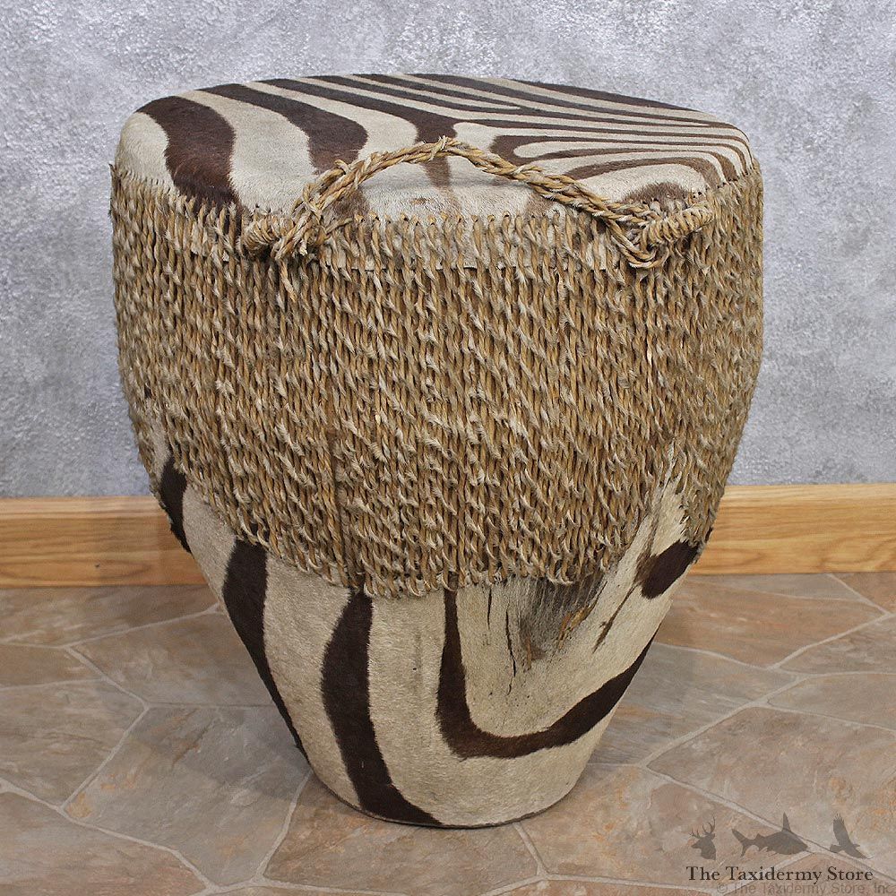 African Zebra Taxidermy Skin Drum #12443 For Sale @ The Taxidermy Store