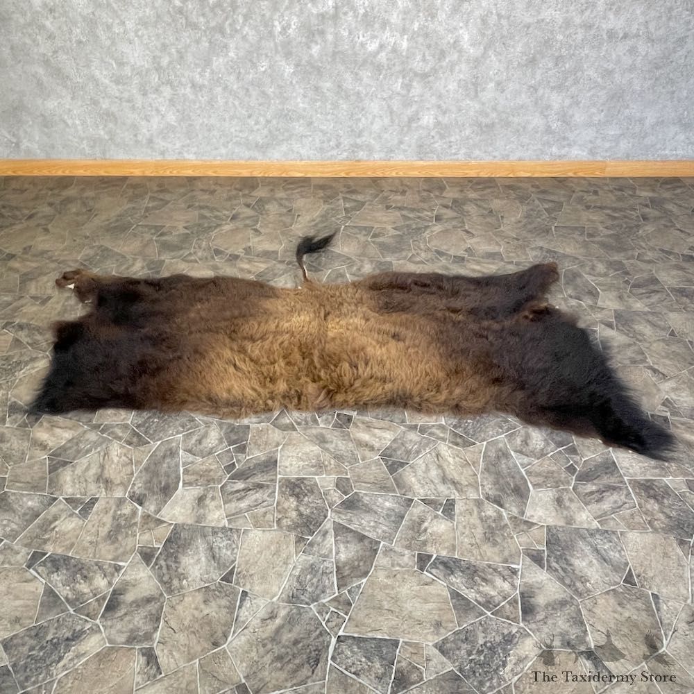 American Buffalo Throw Rug #25368 For Sale @ The Taxidermy Store
