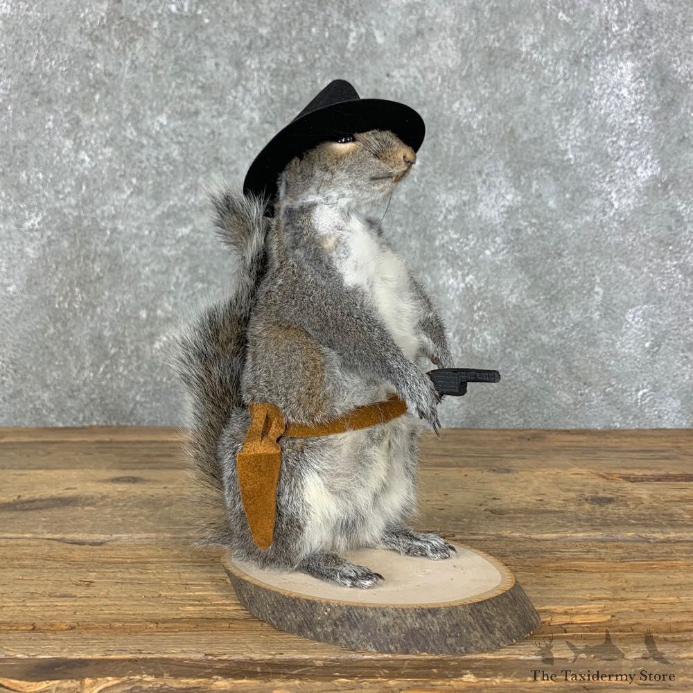 Cowboy Squirrel Novelty Mount For Sale #23052 @ The Taxidermy Store