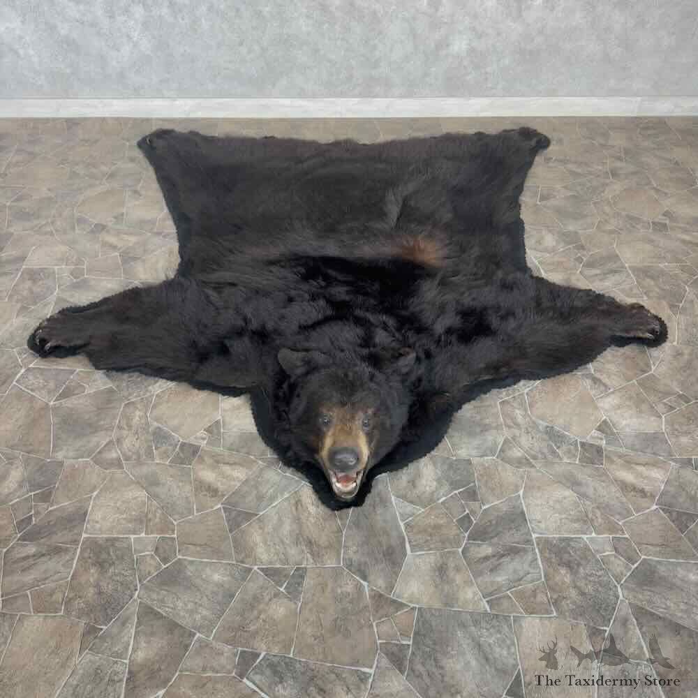 Black Bear Full-Size Rug For Sale #31038 @ The Taxidermy Store