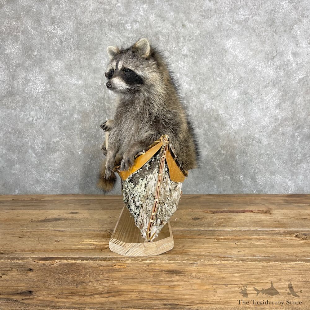 Canoeing Pals Novelty Mount For Sale #27366 @ The Taxidermy Store