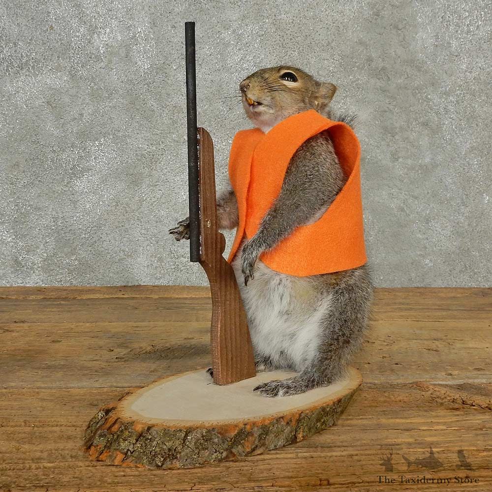 Hunting Squirrel Novelty Mount For Sale #16800 @ The Taxidermy Store