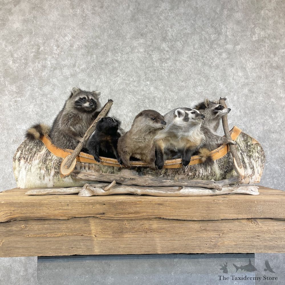 Canoeing Pals Novelty Mount For Sale #26211 @ The Taxidermy Store