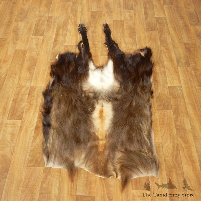 Himalayan Tahr Hide Taxidermy Rug Mount #17452 For Sale @ The Taxidermy Store