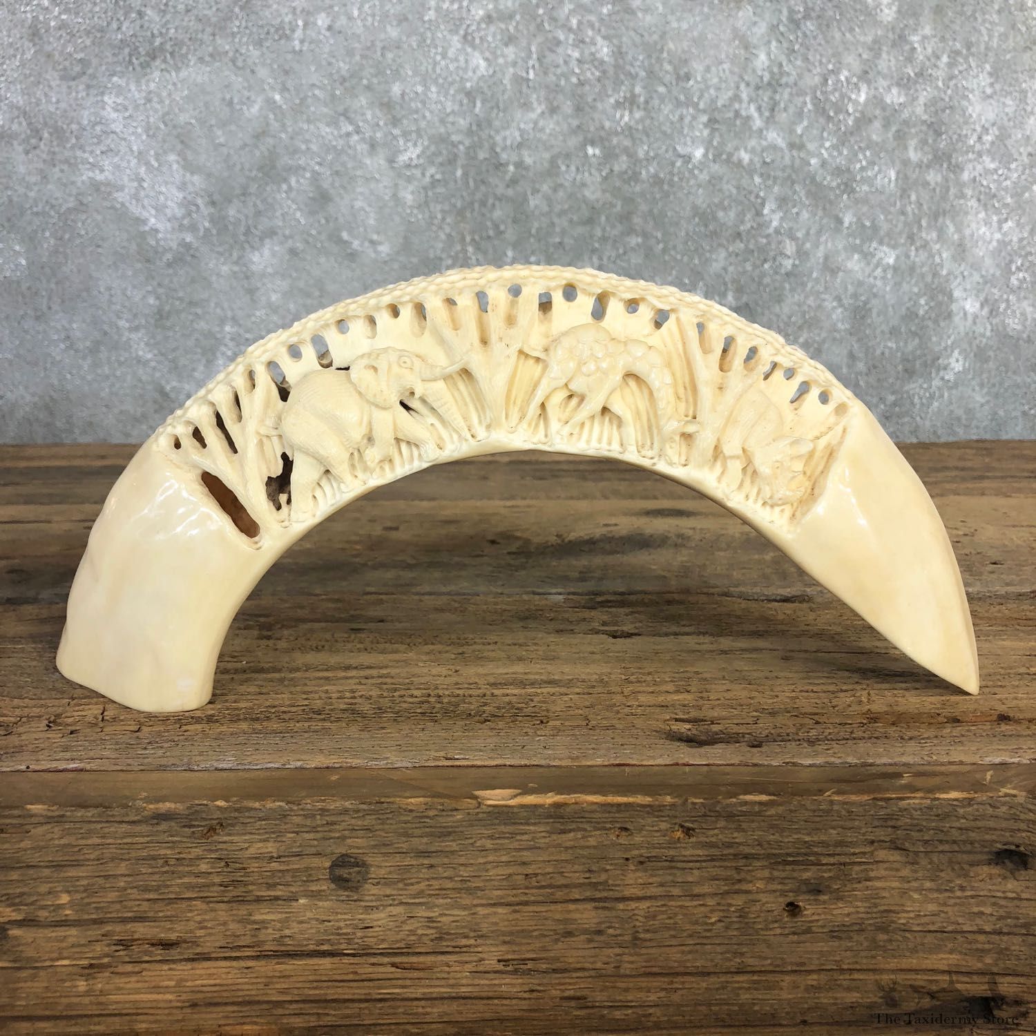 Carved Hippopotamus Tooth For Sale #19958 @ The Taxidermy Store