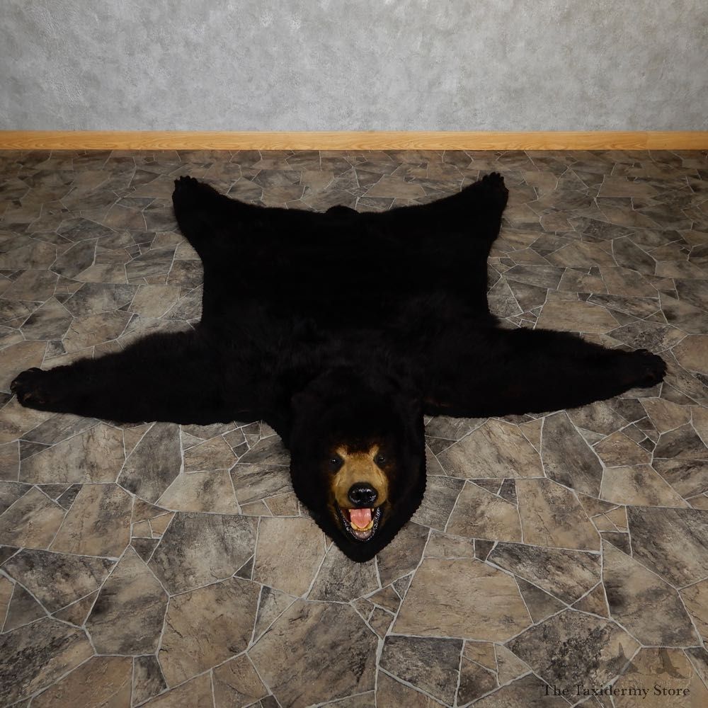 Black Bear Full-Size Rug For Sale #18979 @ The Taxidermy Store