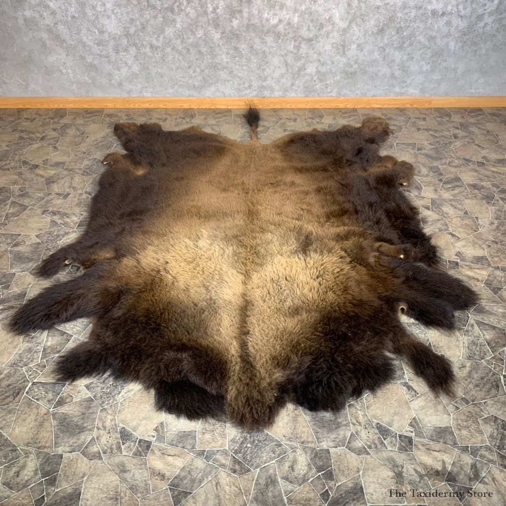American Buffalo Full Size Rug Taxidermy #22541 For Sale @ The Taxidermy Store