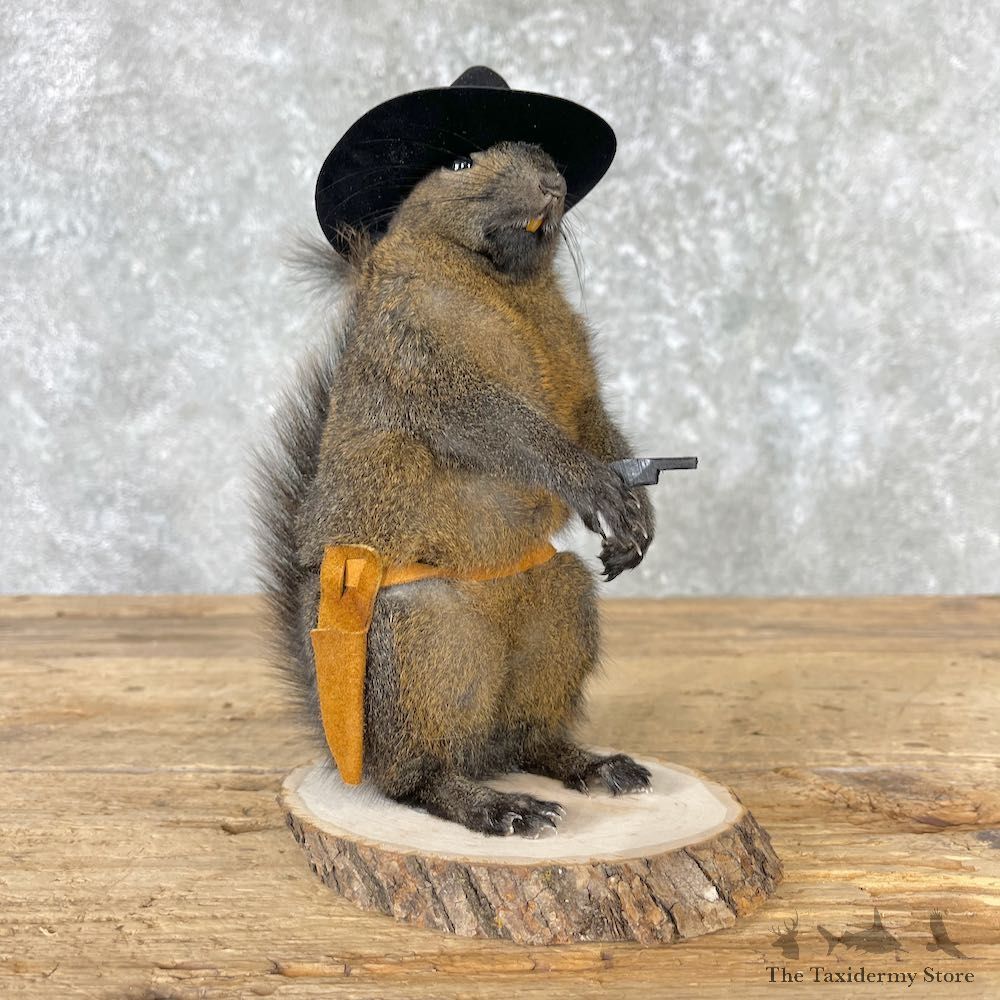 Cowboy Squirrel Novelty Mount For Sale #27015 @ The Taxidermy Store