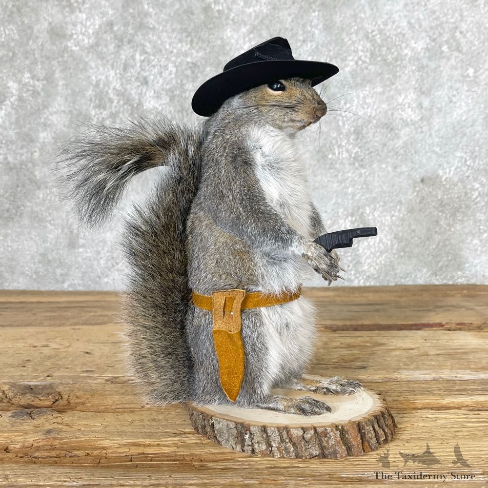 Cowboy Squirrel Novelty Mount For Sale #25025 @ The Taxidermy Store