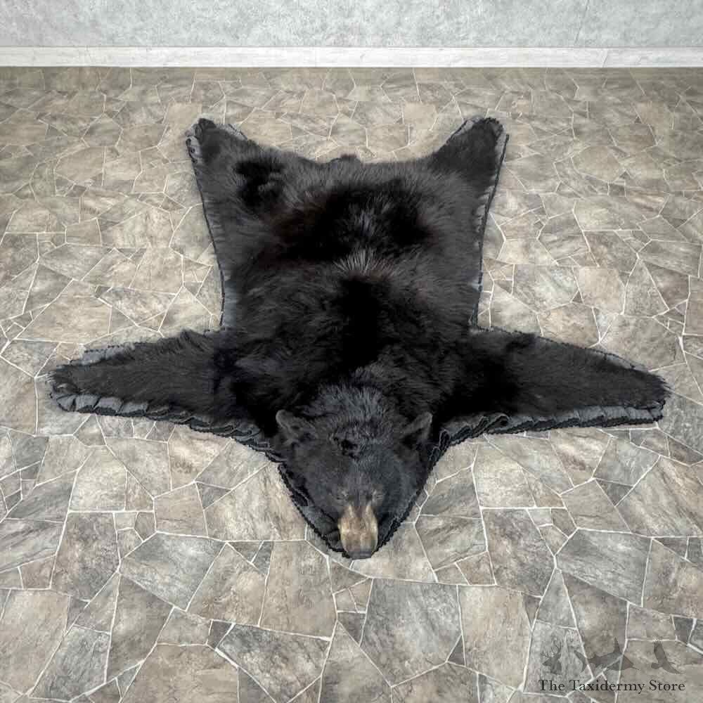 Black Bear Full Size Rug For Sale #31884 @ The Taxidermy Store