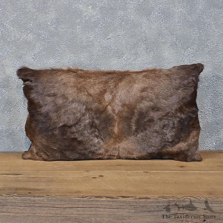 African Blesbok Hide Pillow #12058 For Sale @ The Taxidermy Store