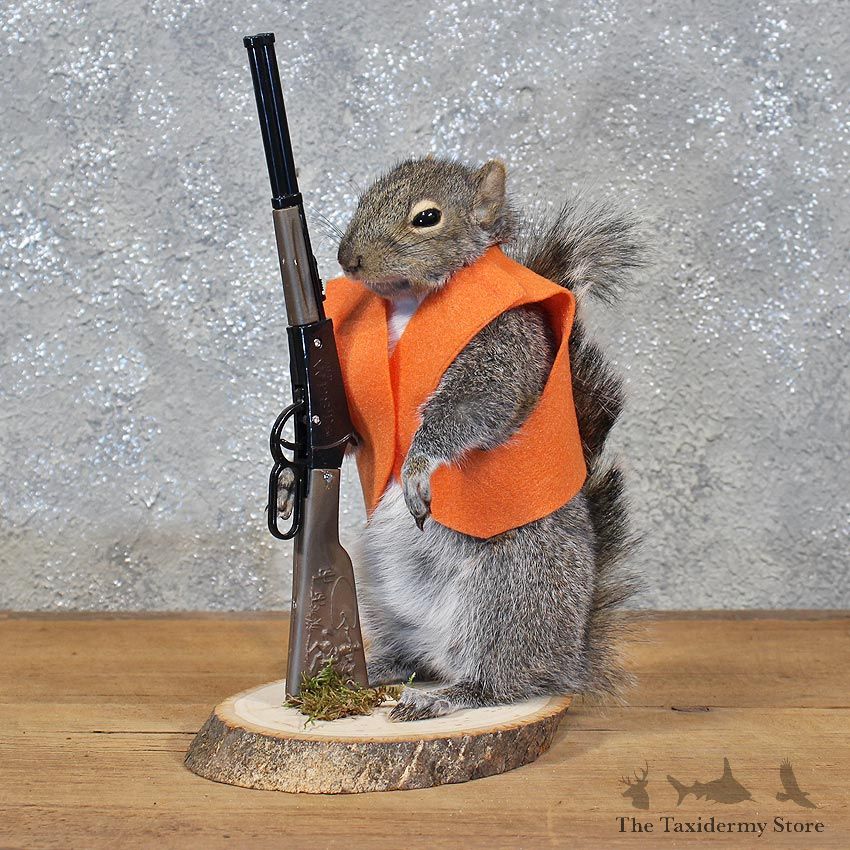 Novelty Hunter Grey Squirrel #11938 For Sale @ The Taxidermy Store