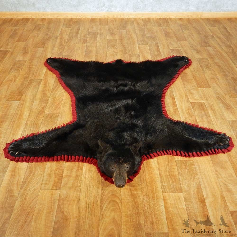 Black Bear Full-Size Taxidermy Rug #13378 For Sale @ The Taxidermy Store