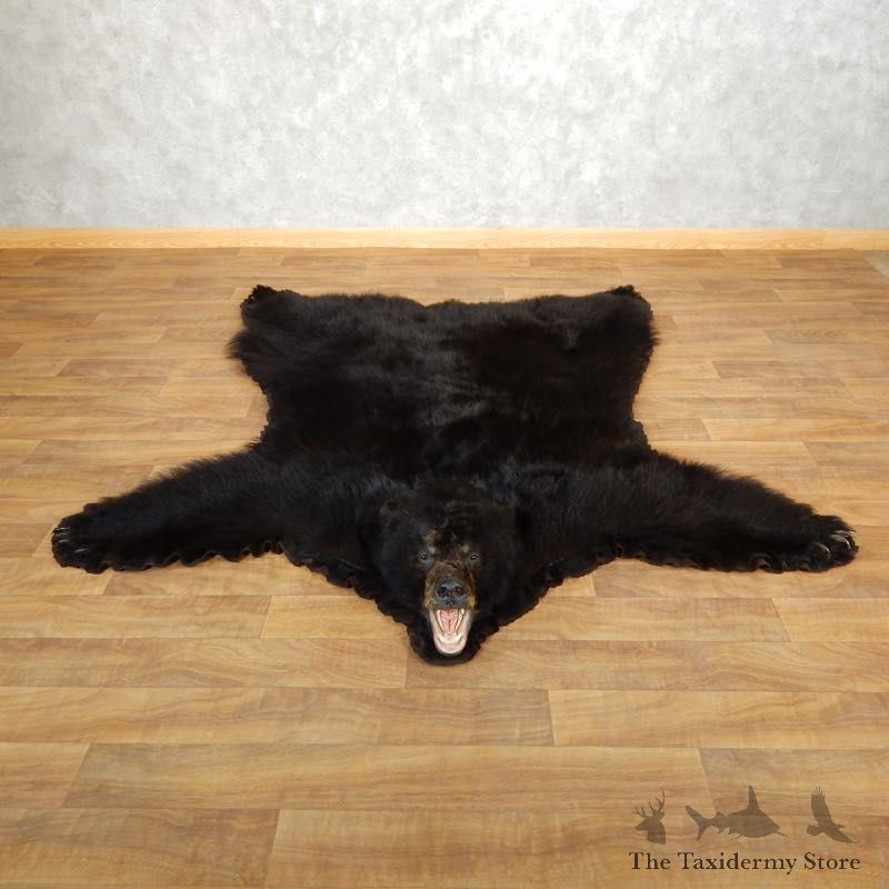 Black Bear Full-Size Rug For Sale #17862 @ The Taxidermy Store