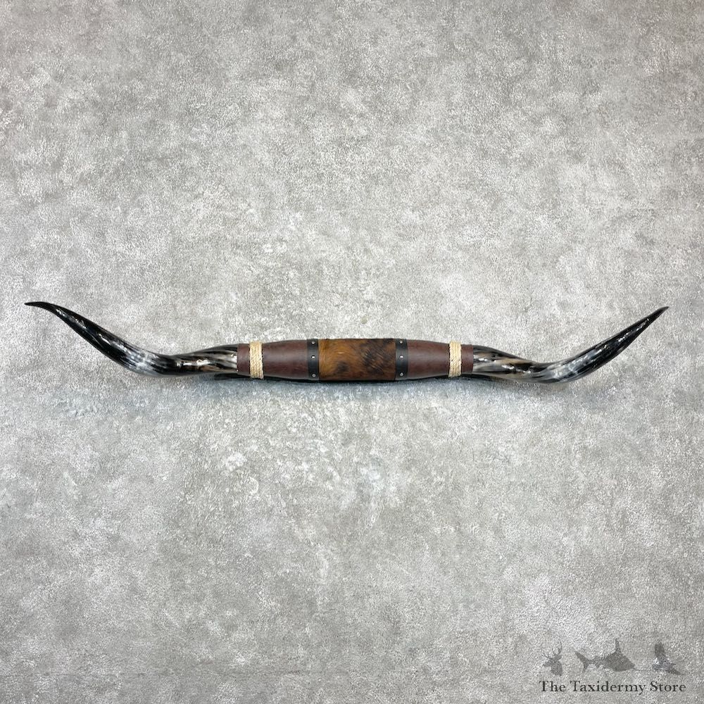 Longhorn Steer Plaque For Sale #27032 @ The Taxidermy Store