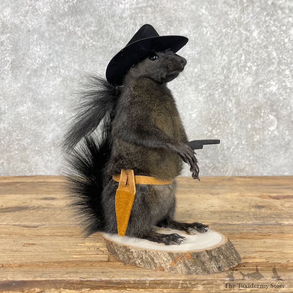 Cowboy Squirrel Novelty Mount For Sale #26078 @ The Taxidermy Store