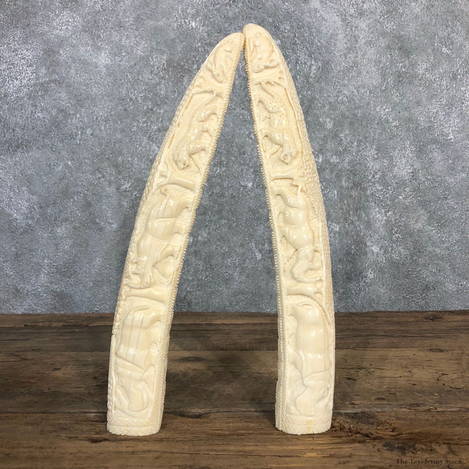 Carved Hippopotamus Tooth For Sale #19975 @ The Taxidermy Store